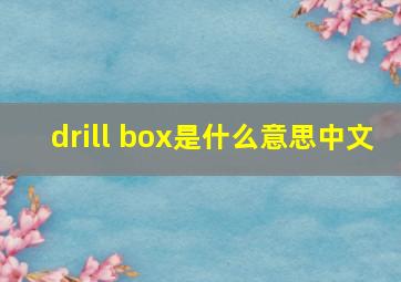 drill box是什么意思中文